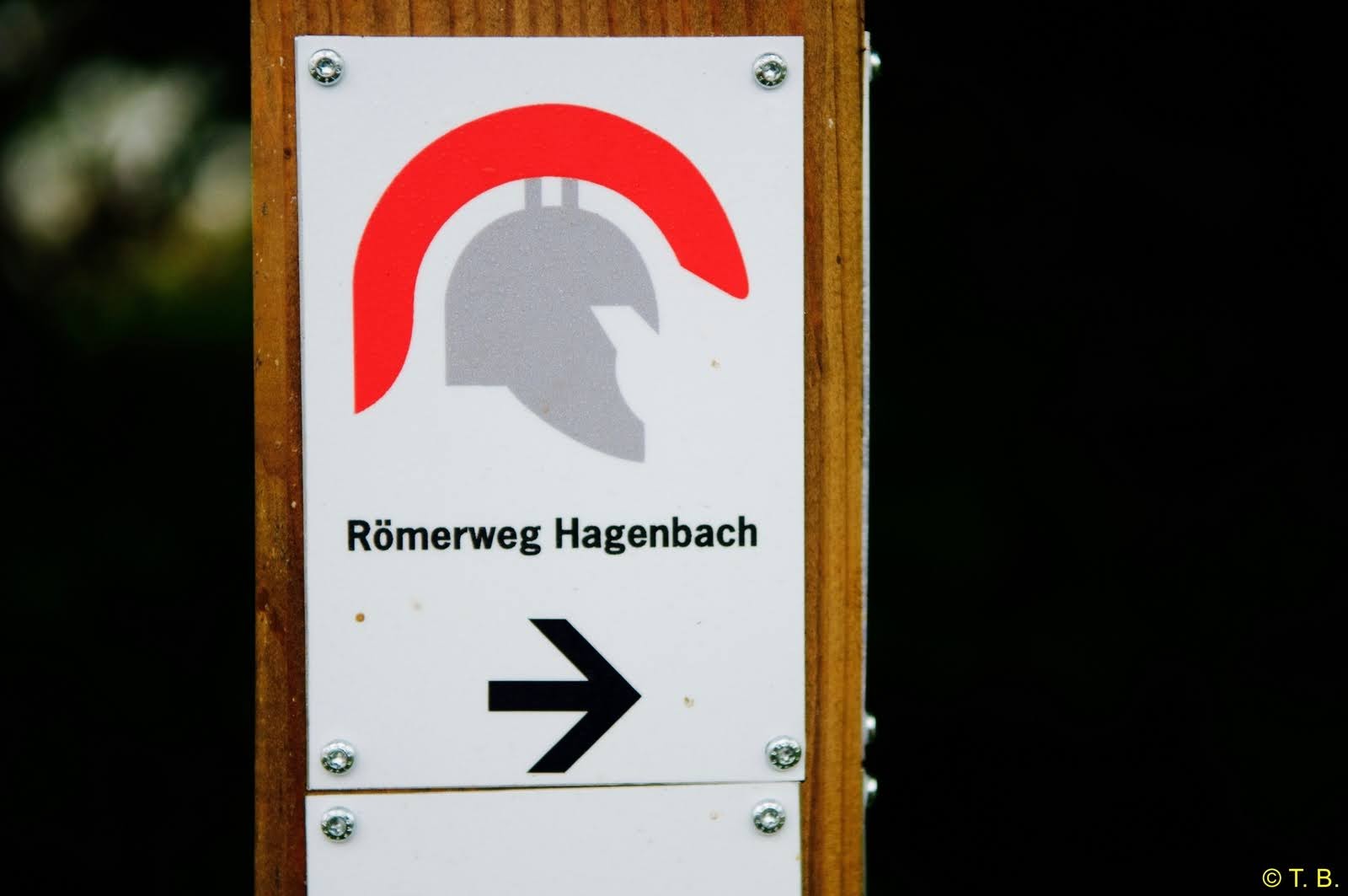 Hagenbach "Rheinhauen und Römerweg"